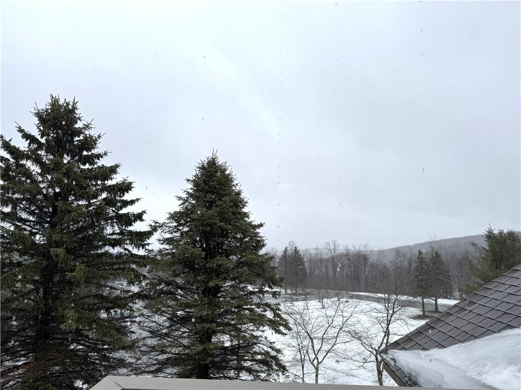 Z1 Sunridge Road Champion, PA 15622 - Photo 17 of 18 a view of a large tree with a wooden fence