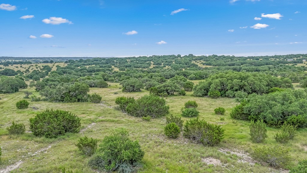 41 Rocksprings Tx 78880 Rocksprings, TX 78880 - Photo 43 of 62