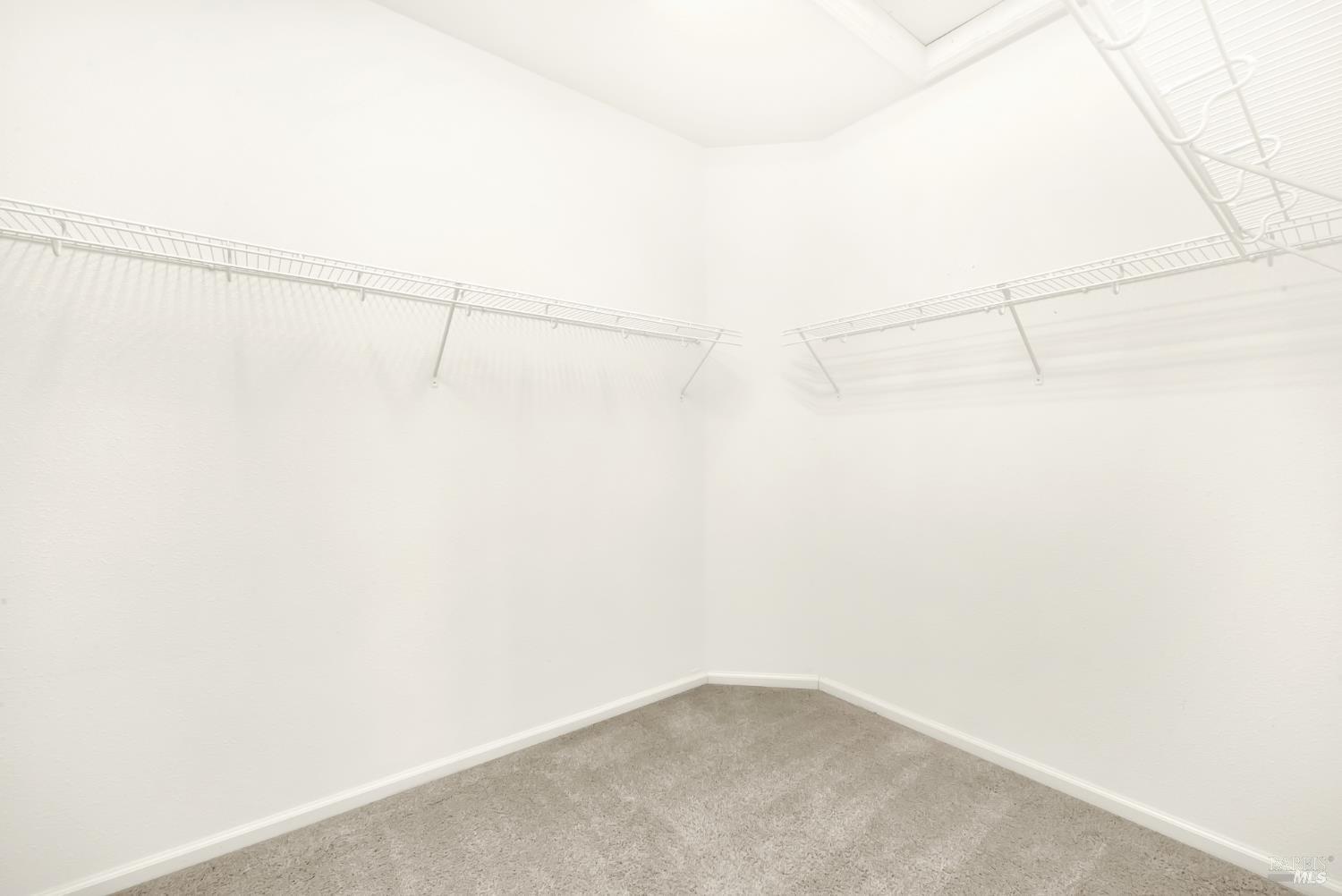 255 Rivercliff Drive Rio Vista, CA 94571 - Photo 36 of 60 Primary Walk in closet