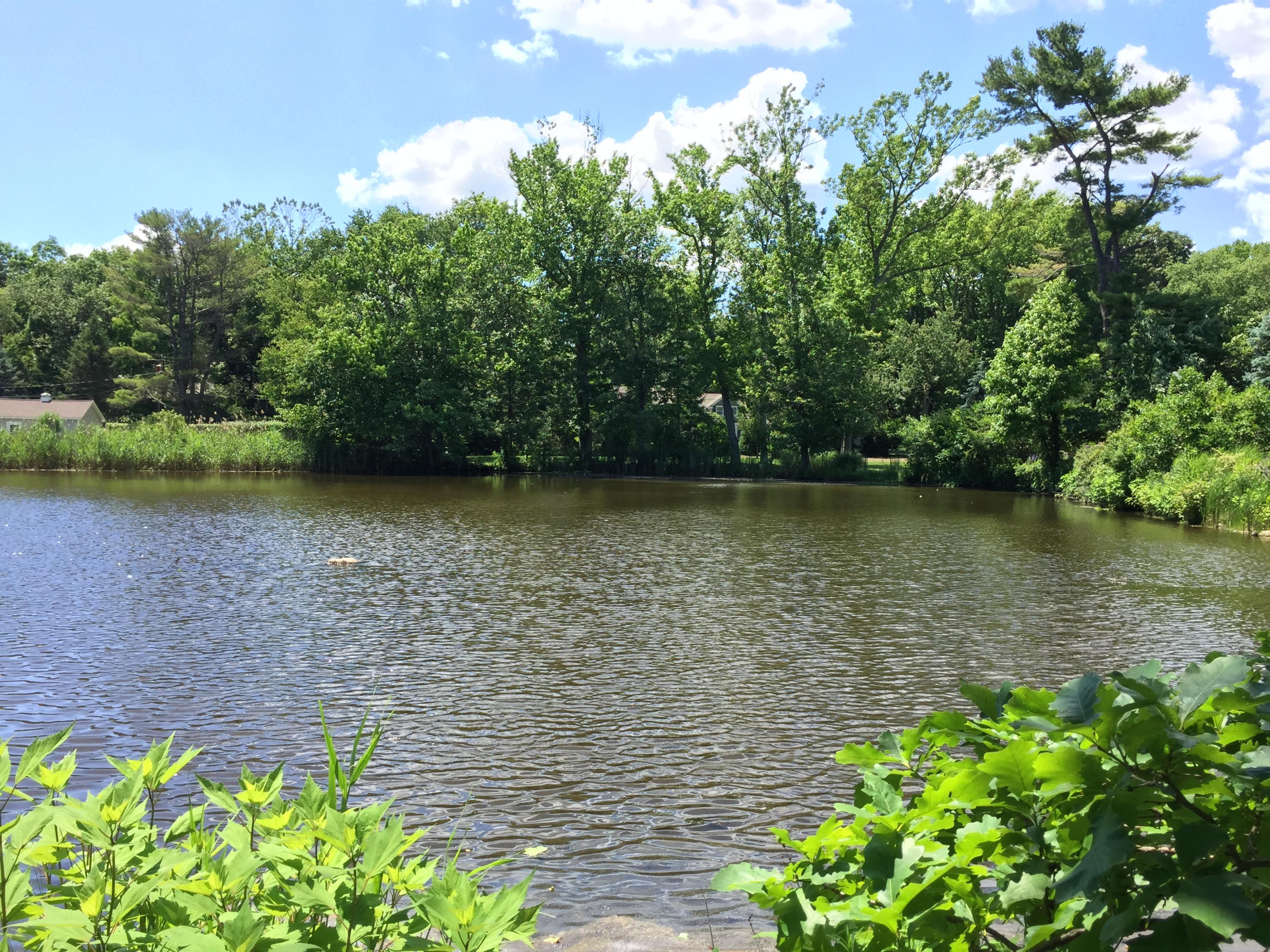 39 Old Farm Road Darien, CT 06820 - Photo 36 of 36 a view of a lake with a garden