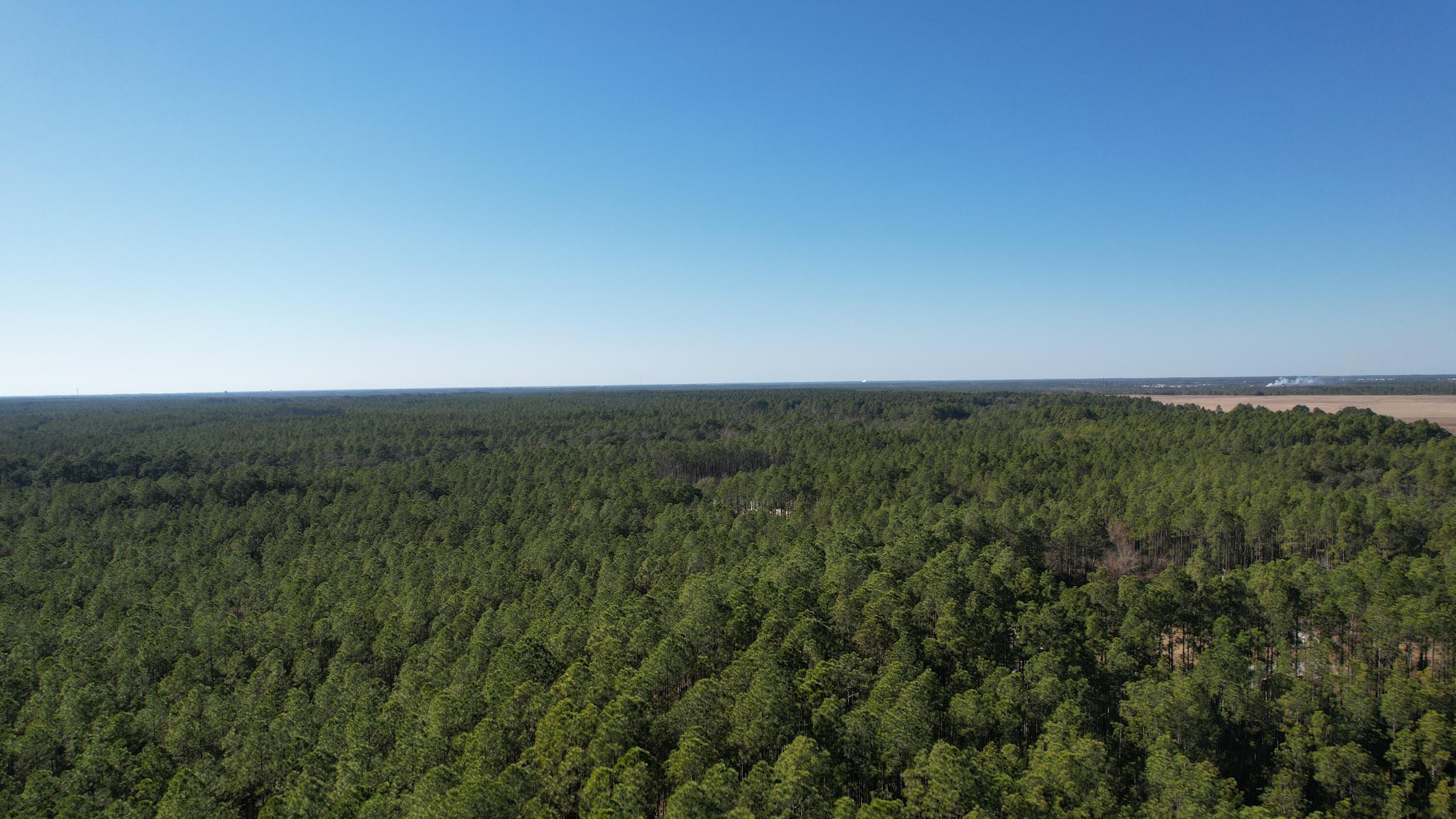 X Kaylea Road Freeport, FL 32439 - Photo 4 of 9 DJI_0124