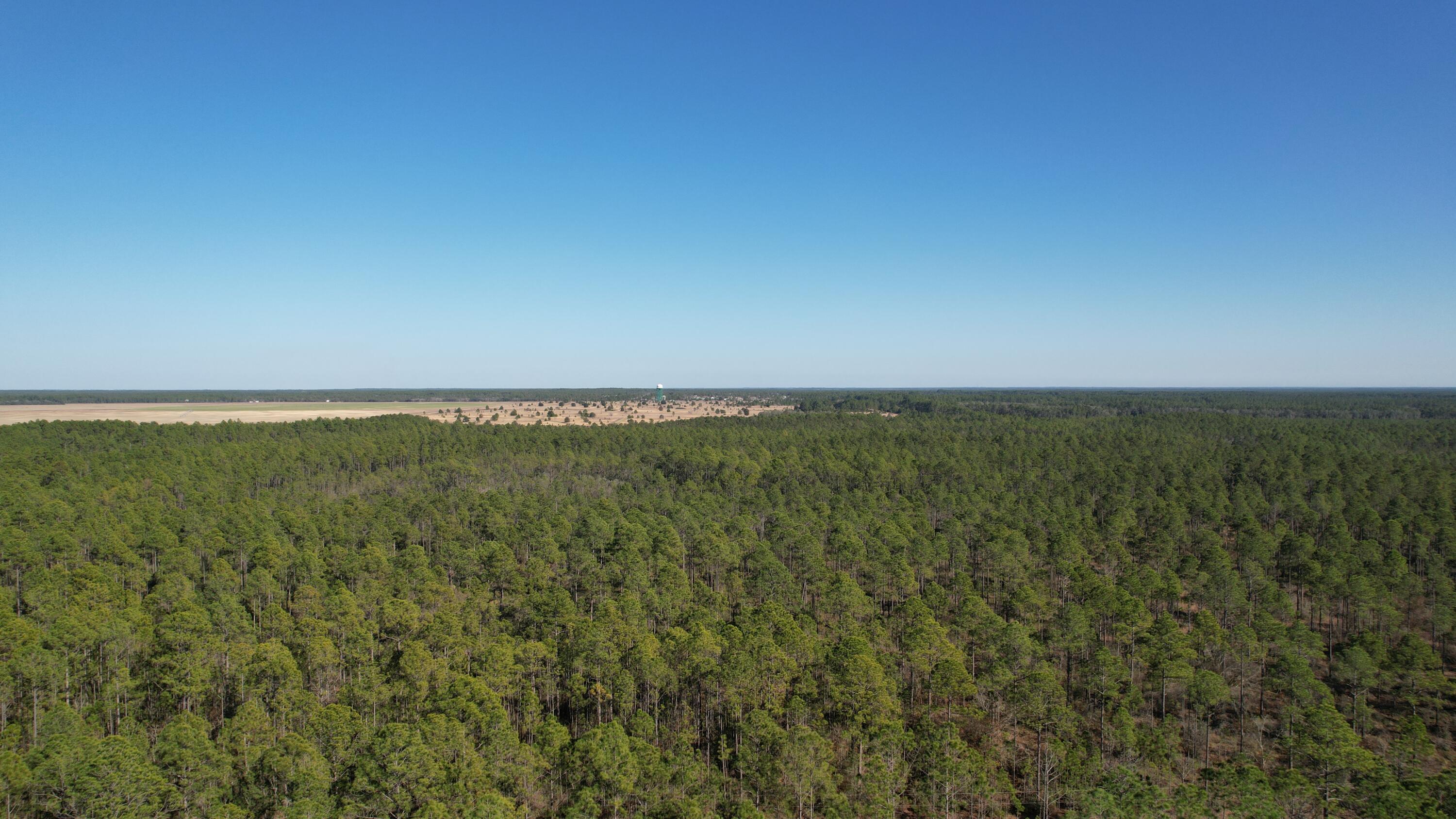 X Kaylea Road Freeport, FL 32439 - Photo 6 of 9 DJI_0122
