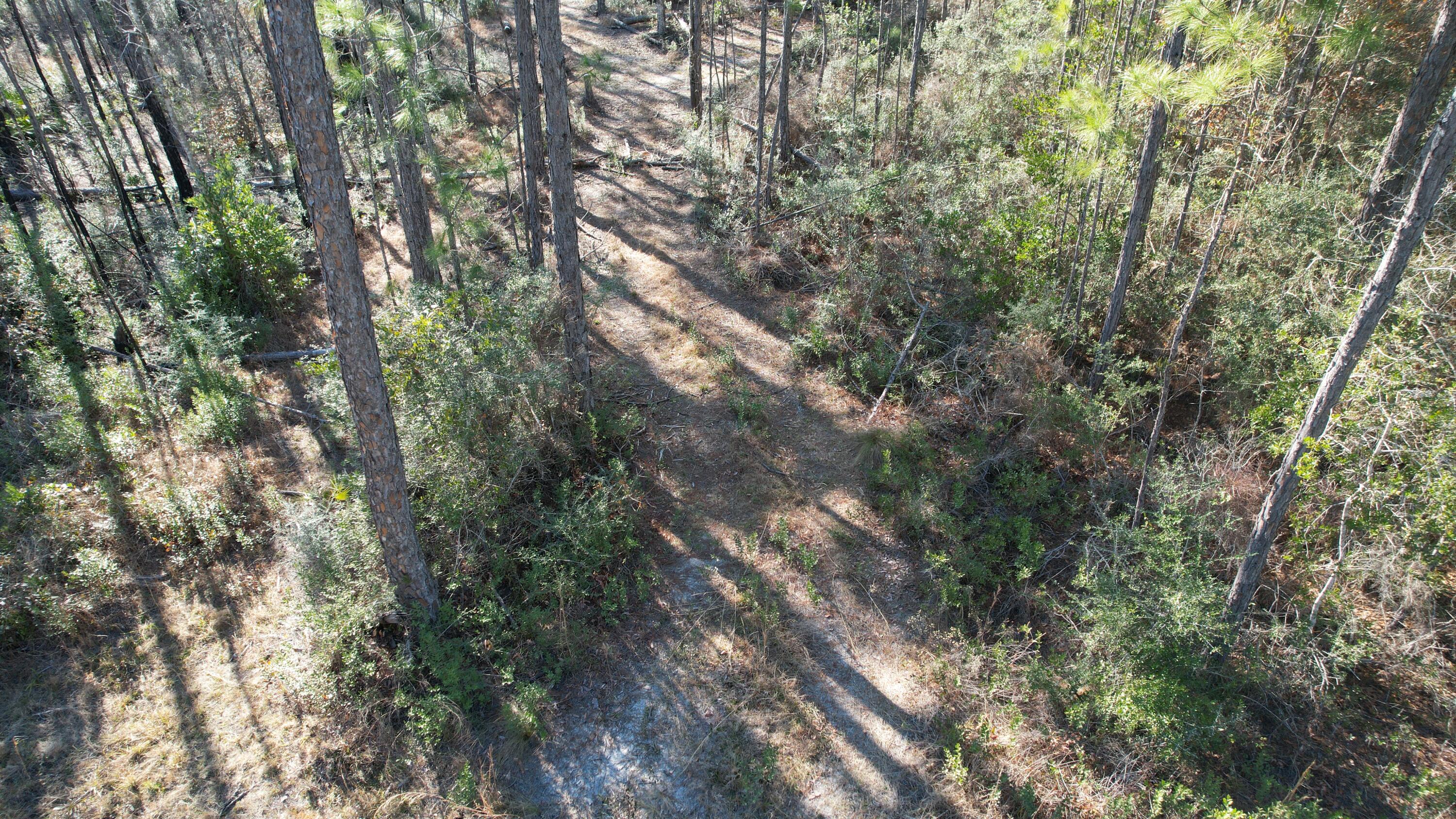 X Kaylea Road Freeport, FL 32439 - Photo 7 of 9 DJI_0130