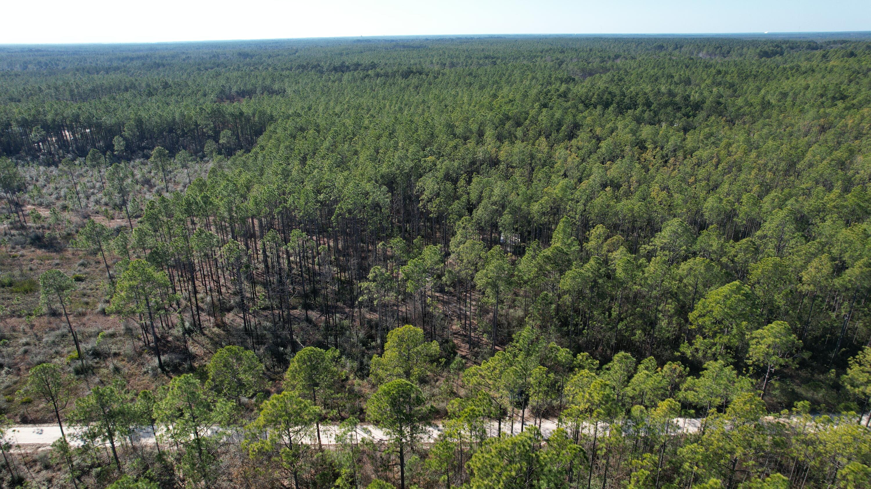 X Kaylea Road Freeport, FL 32439 - Photo 8 of 9 DJI_0118