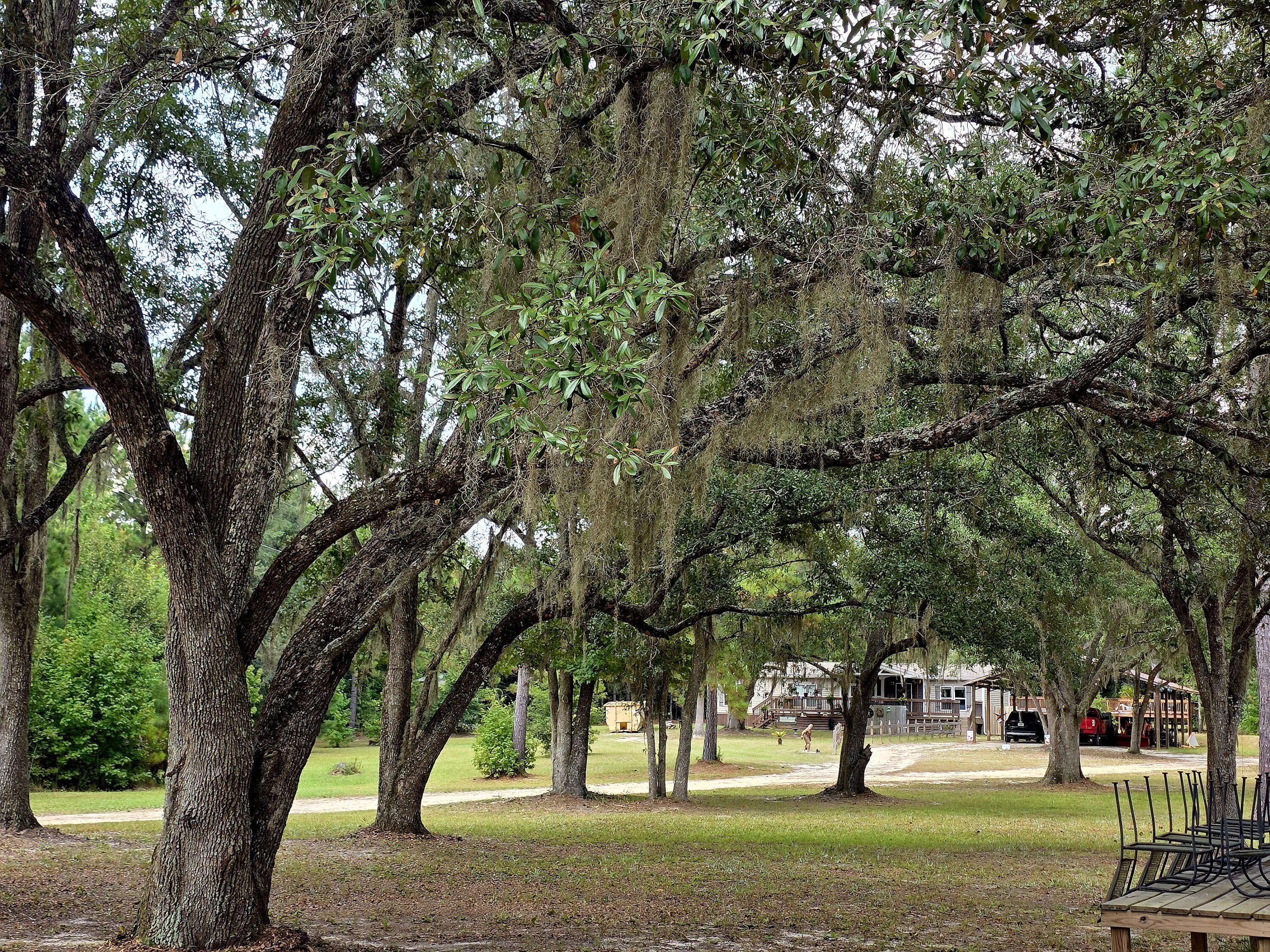 4320 Highway 79 Vernon, FL 32462 - Photo 3 of 49 a view of park with trees