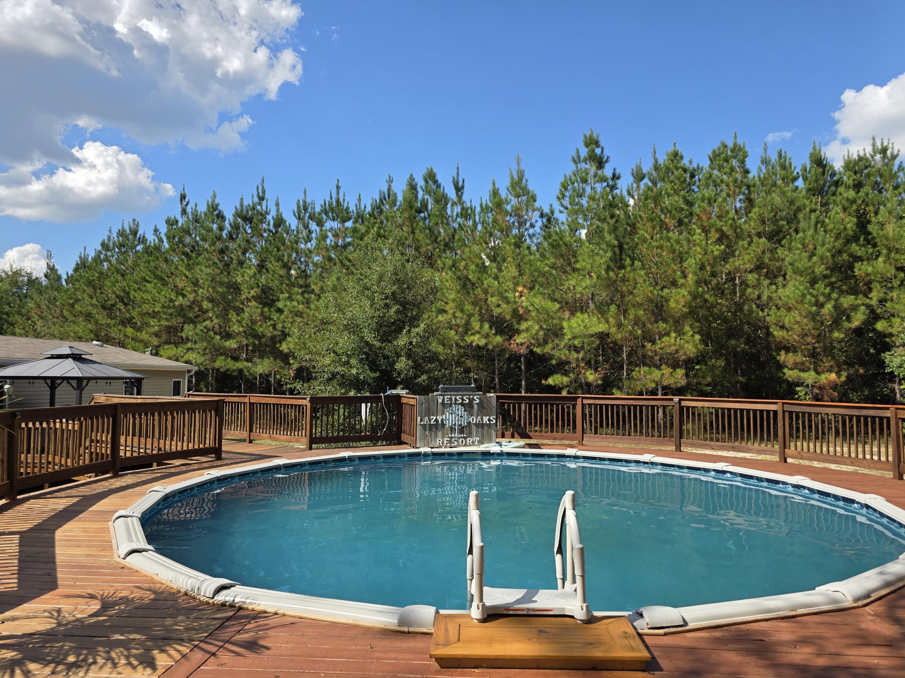 4320 Highway 79 Vernon, FL 32462 - Photo 34 of 49 a view of a swimming pool with a patio