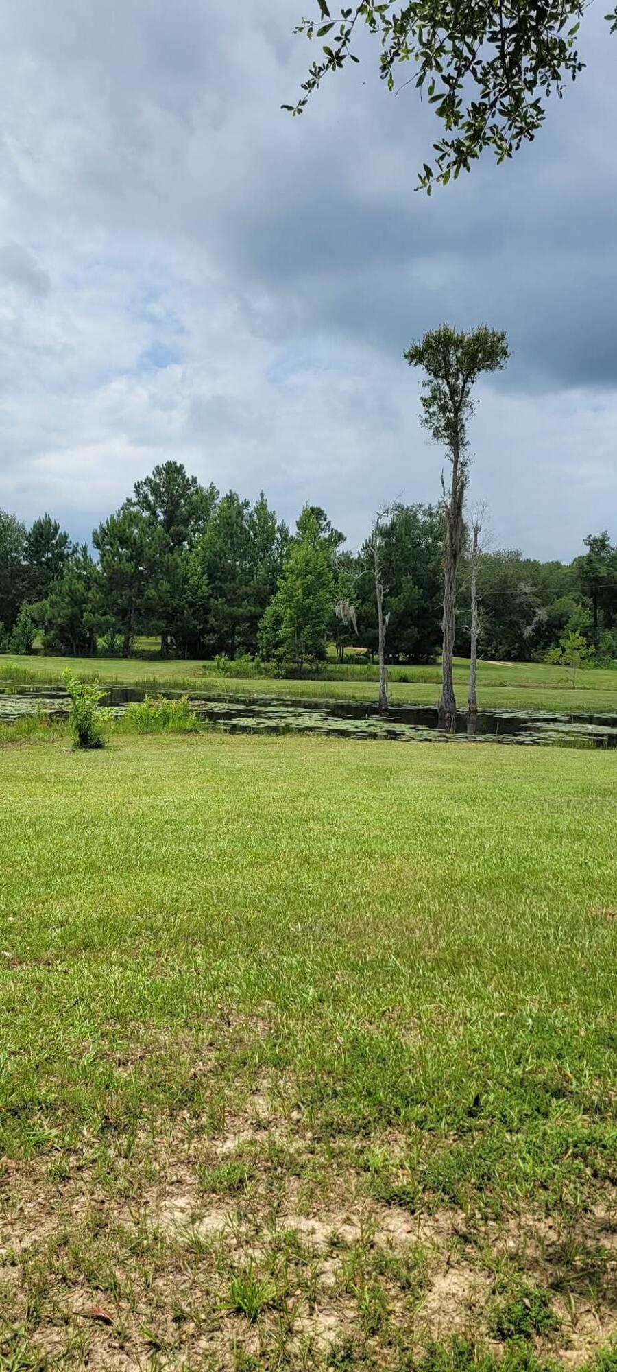 4320 Highway 79 Vernon, FL 32462 - Photo 48 of 49 a view of a lake with a big yard