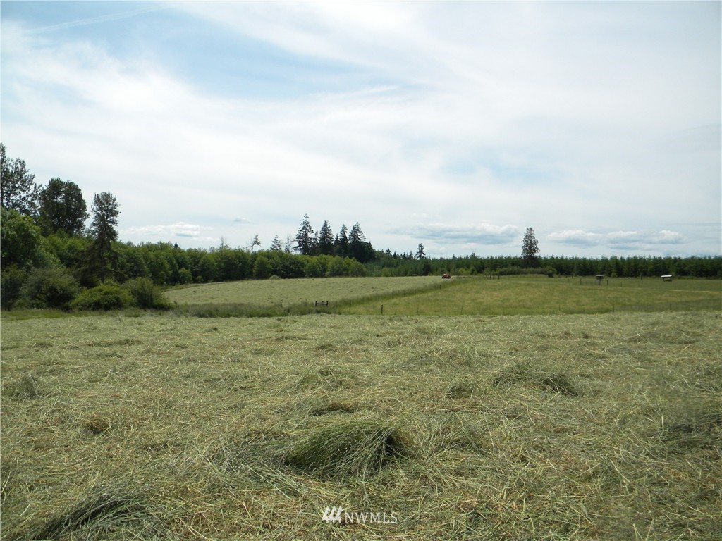 55 North Military Road Winlock, WA 98596 - Photo 2 of 5