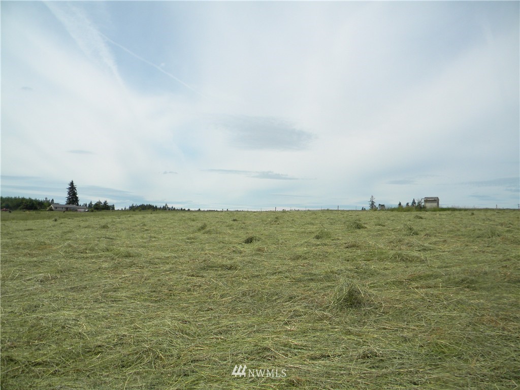55 North Military Road Winlock, WA 98596 - Photo 3 of 5