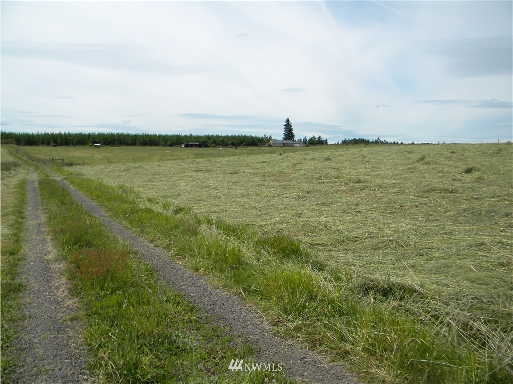 55 North Military Road Winlock, WA 98596 - Photo 4 of 5