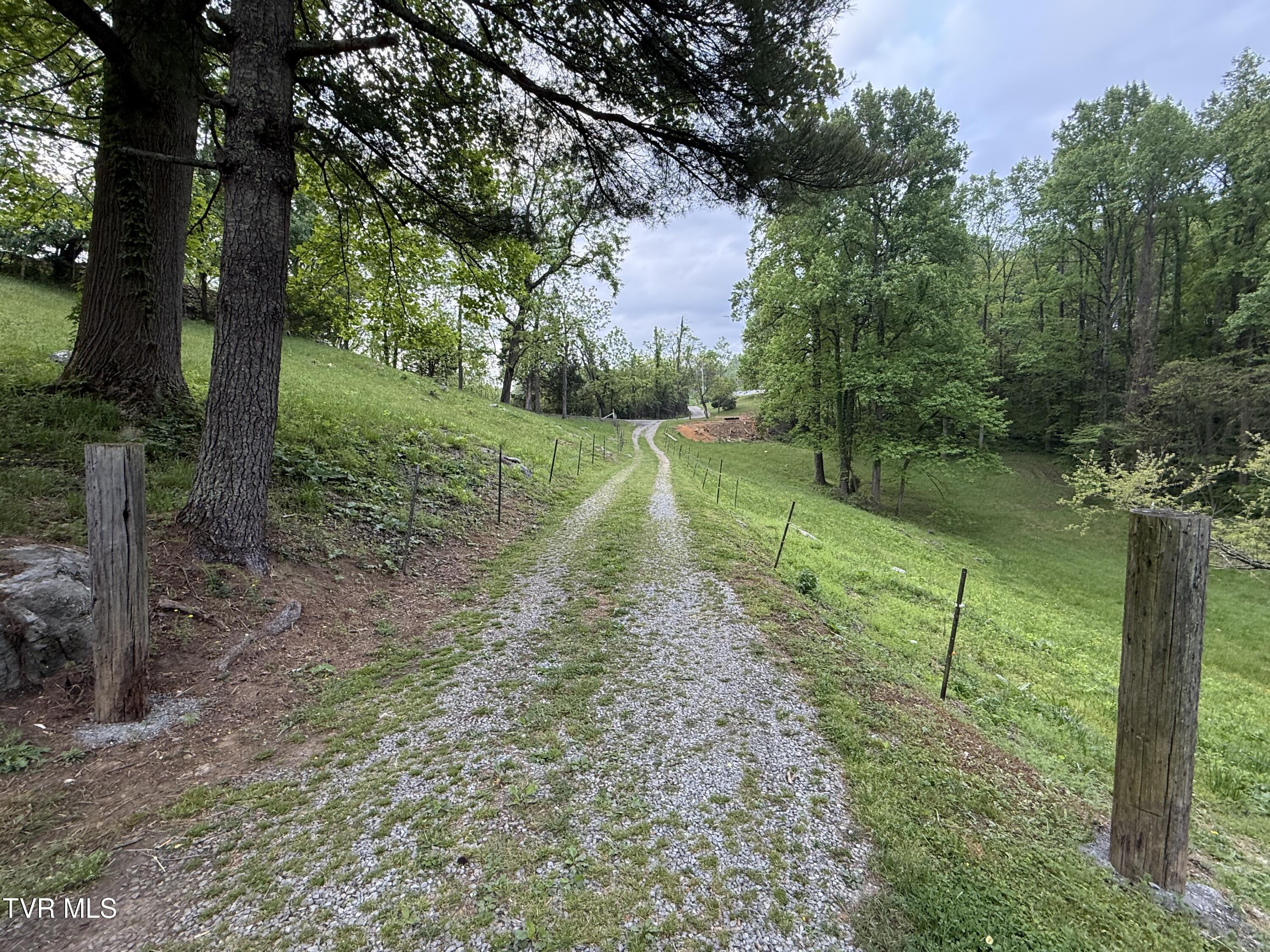 125 Babb Road Elizabethton, TN 37643 - Photo 15 of 50 IMG_1304