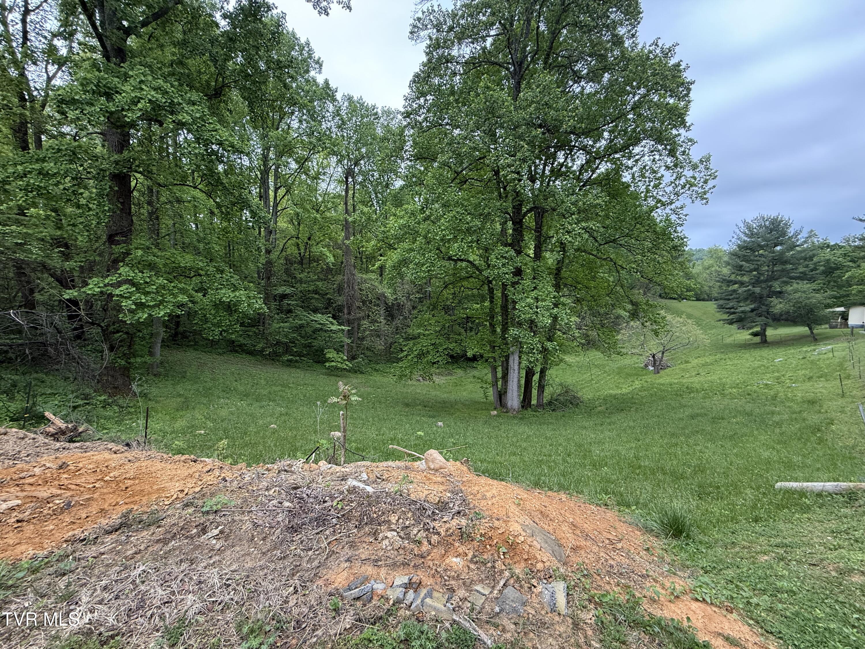 125 Babb Road Elizabethton, TN 37643 - Photo 21 of 50 IMG_1366