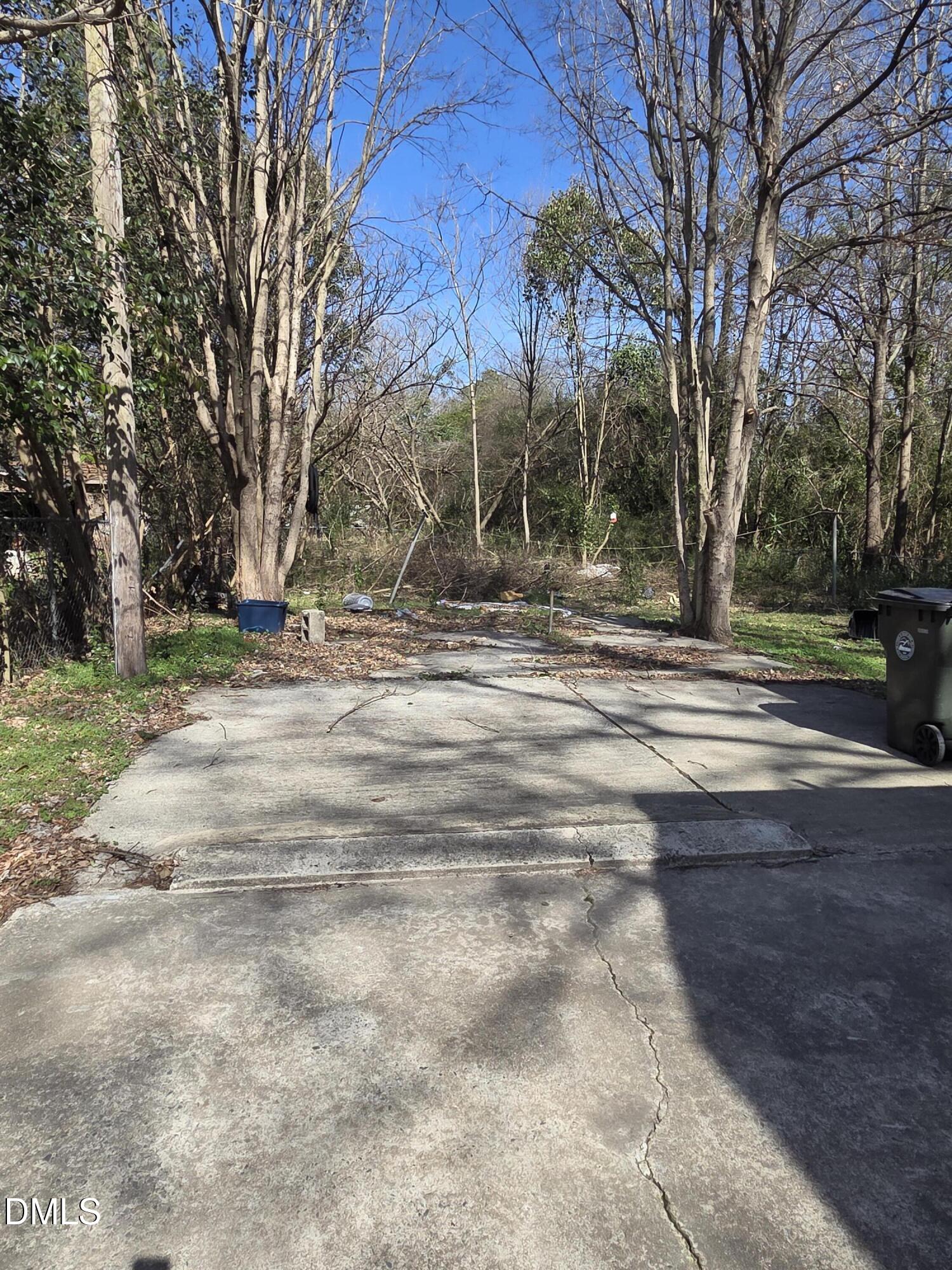 207 East Maple Street Mount Olive, NC 28365 - Photo 10 of 11 a view of road with trees