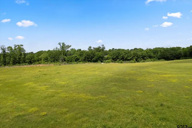 a view of a lake from a yard