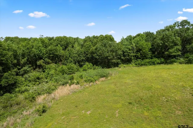 a view of an ocean from a yard