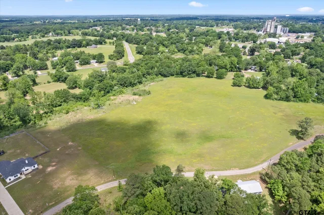 an aerial view of residential houses with outdoor space and trees