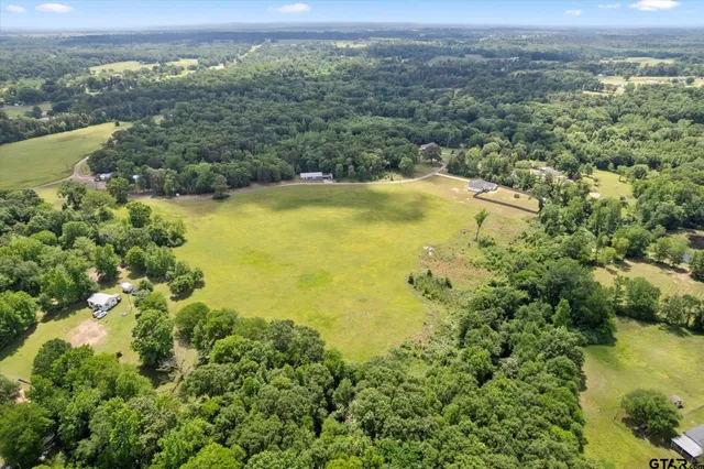 an aerial view of residential houses with outdoor space and trees