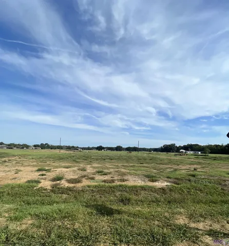 $169,900 | Lot # Buddy Gore Road, Gonzales, LA 70737