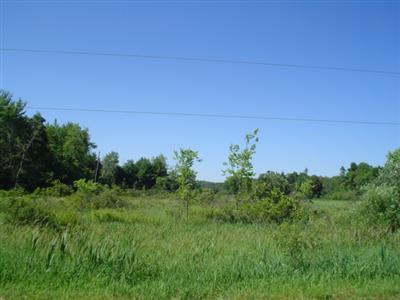 11079 Burrows Road Battle Creek, MI 49014 - Photo 16 of 18 Additional Photo