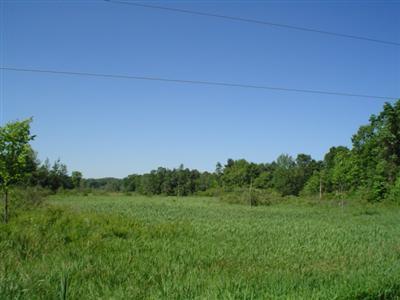 11079 Burrows Road Battle Creek, MI 49014 - Photo 17 of 18 Additional Photo