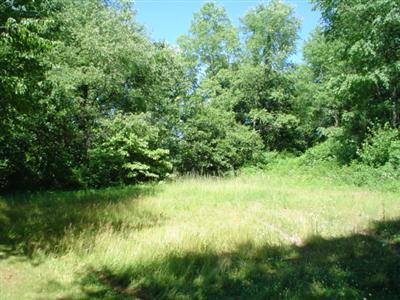 11079 Burrows Road Battle Creek, MI 49014 - Photo 8 of 18 Additional Photo