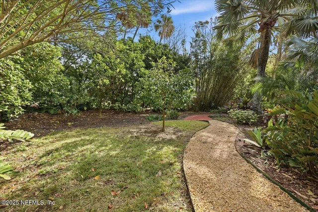 a view of a yard with plants