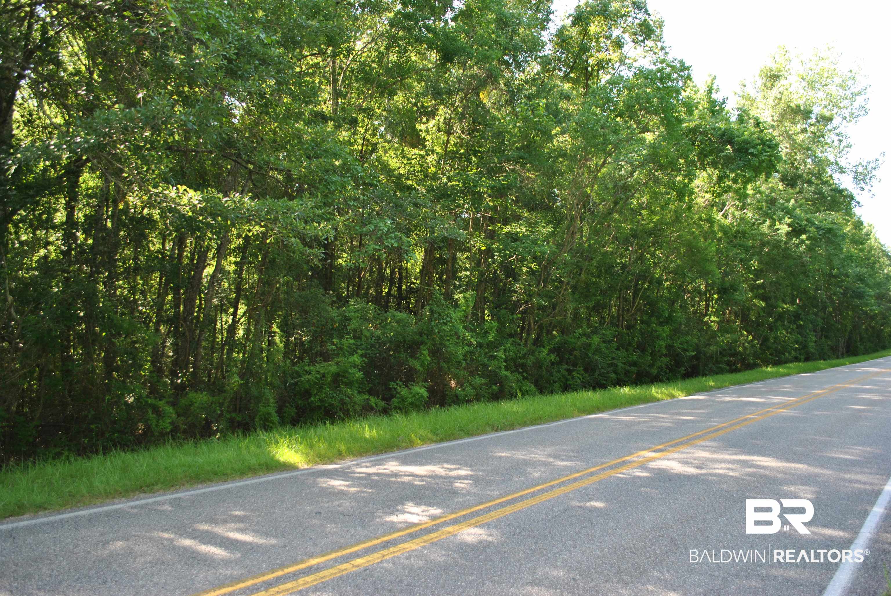 0 Boothe Road Fairhope, AL 36532 - Photo 3 of 7 View of asphalt road featuring a view of trees