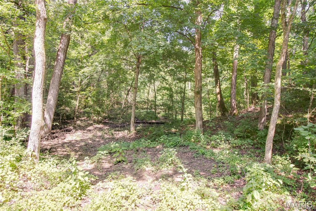 Tbd Rust Road Bunker Hill, IL 62014 - Photo 17 of 25 Gallery Image 17