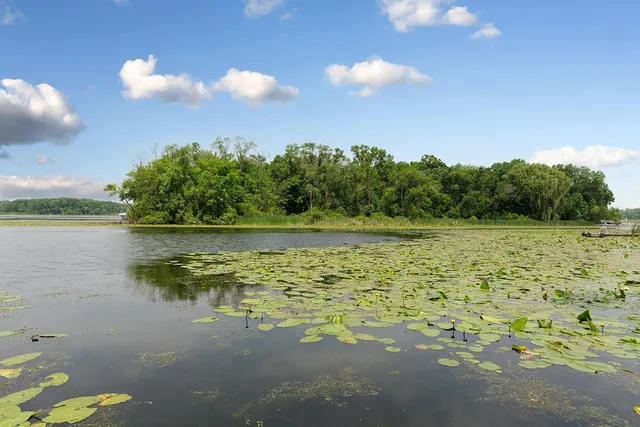 $975,000 | 5121 Dudley Lake Path, Faribault, MN 55021