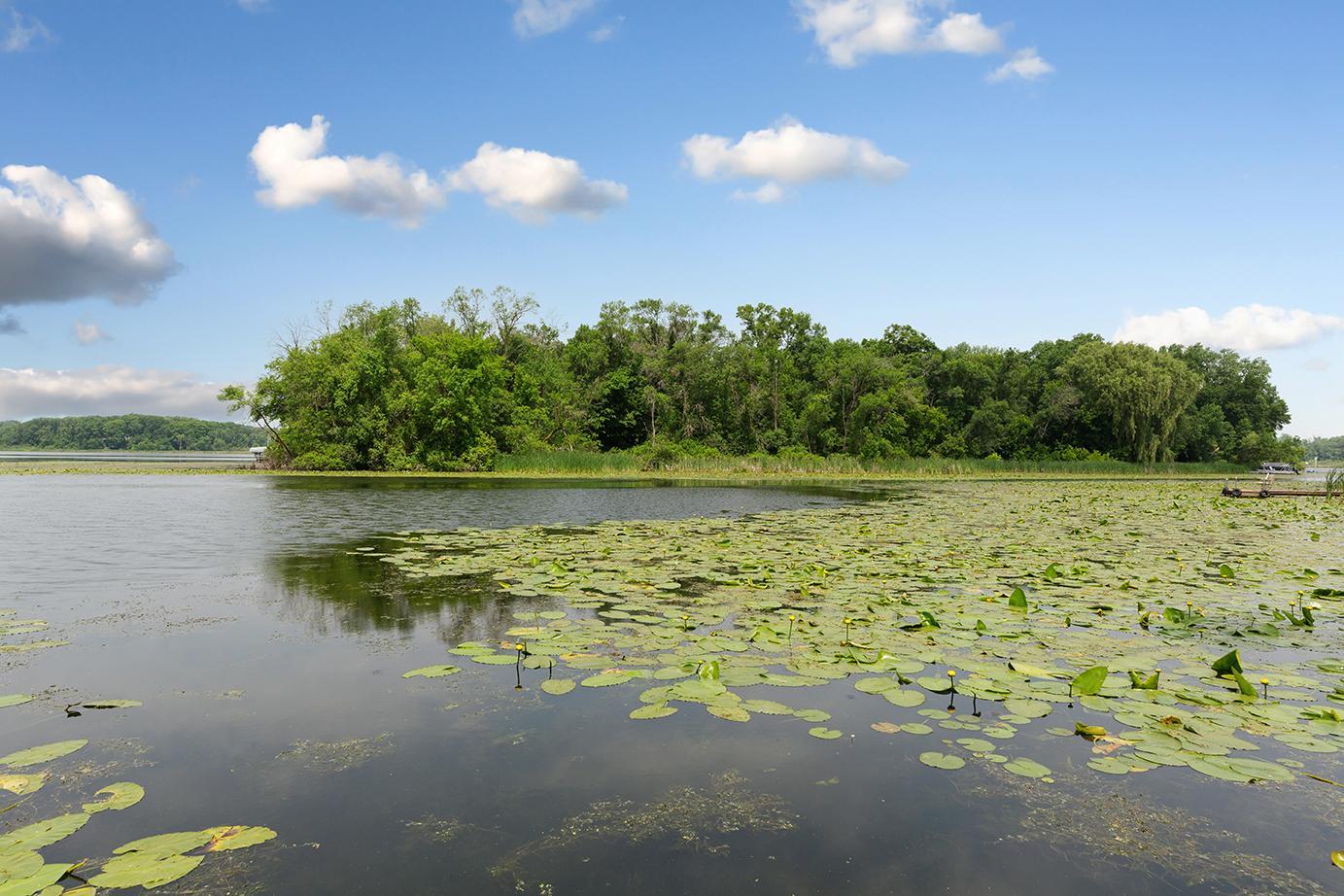 5121 Dudley Lake Path Faribault, MN 55021 - Photo 70 of 71