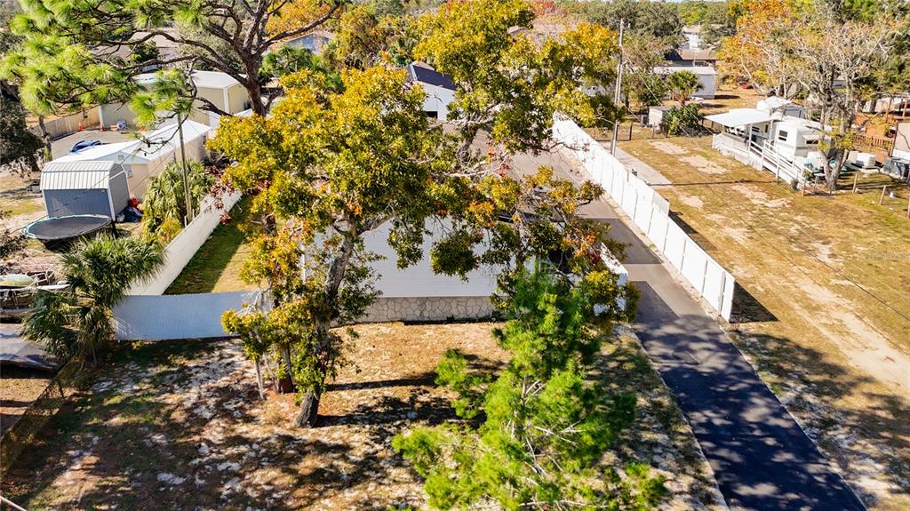 15821 Archer Street Hudson, FL 34667 - Photo 4 of 77 a view of a yard with plants and large trees