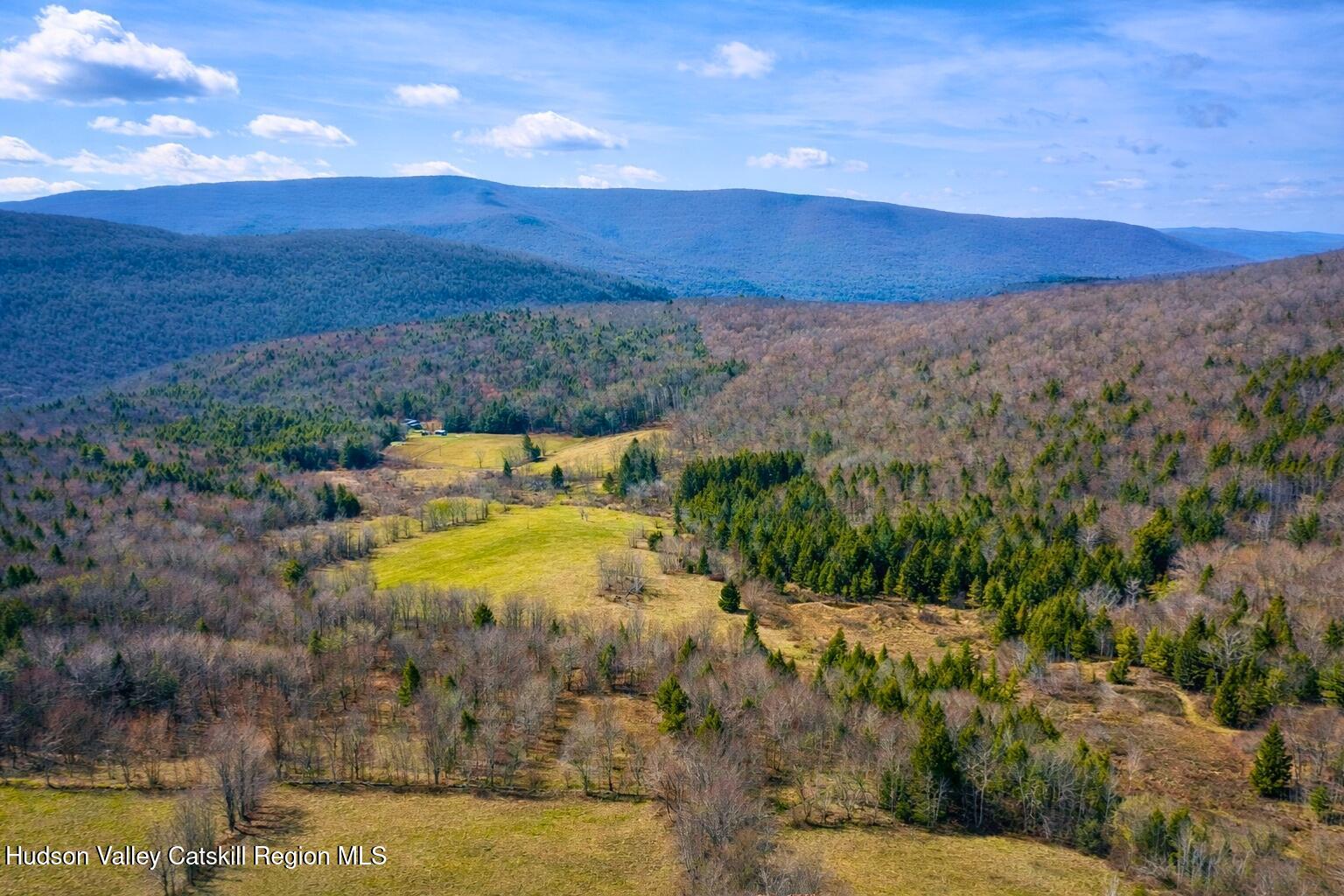 Tbd Hogg Mountain Road Fleischmanns, NY 12430 - Photo 1 of 22 #1