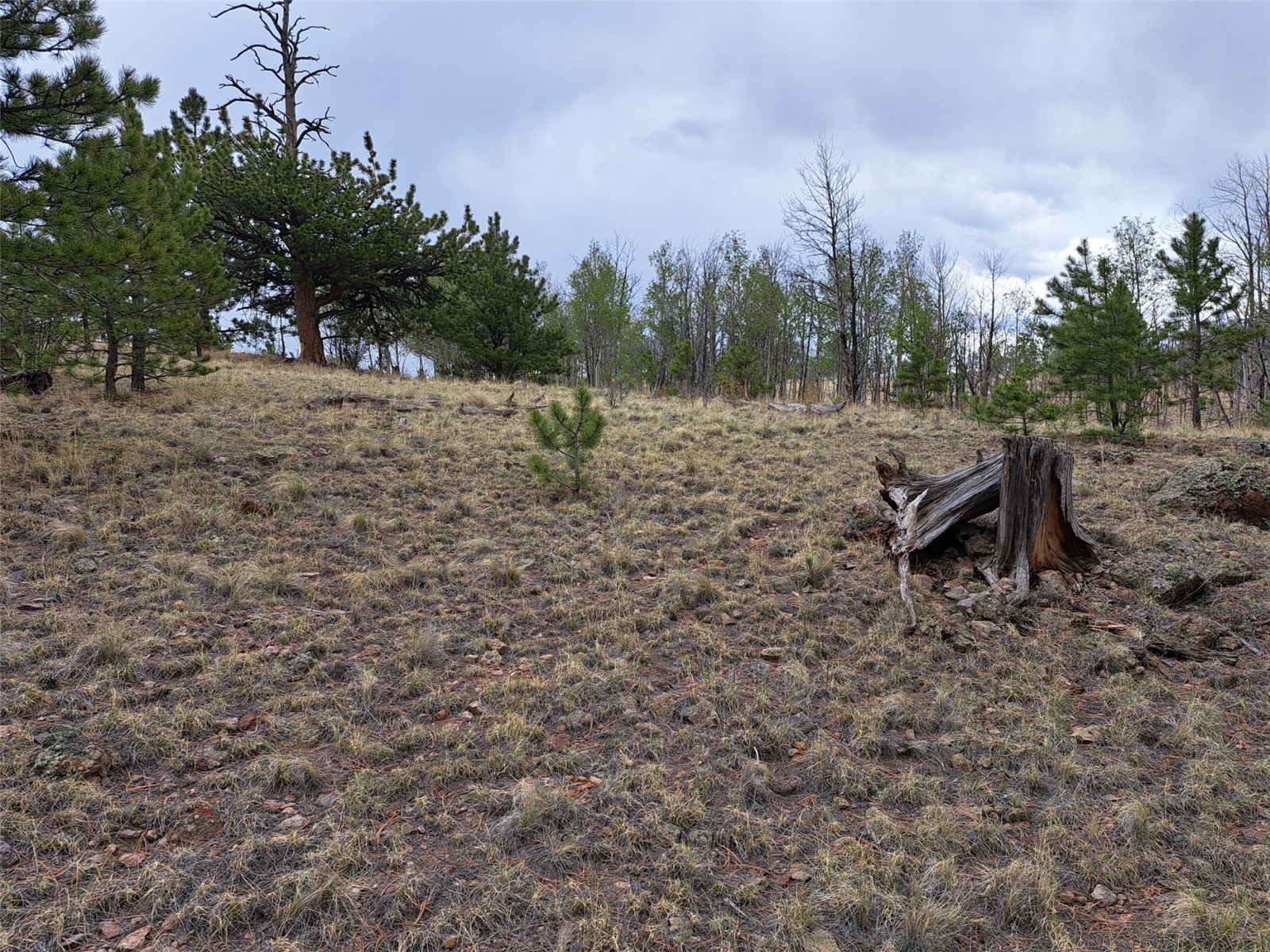 ` Dog Soldier Road Hartsel, CO 80449 - Photo 9 of 34 Gallery Image 9