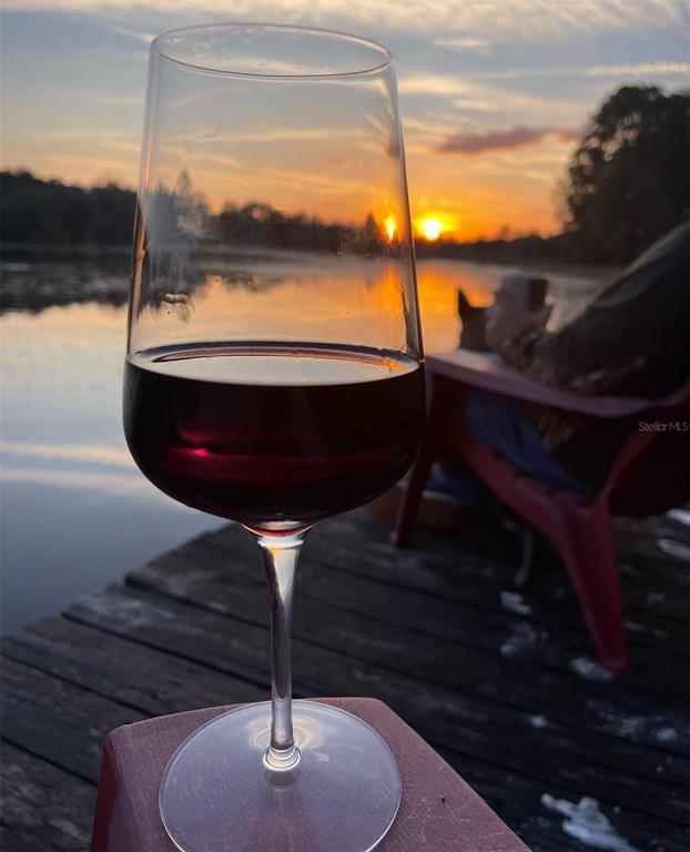 14730 Southeast 61st Street Road Ocklawaha, FL 32179 - Photo 1 of 88