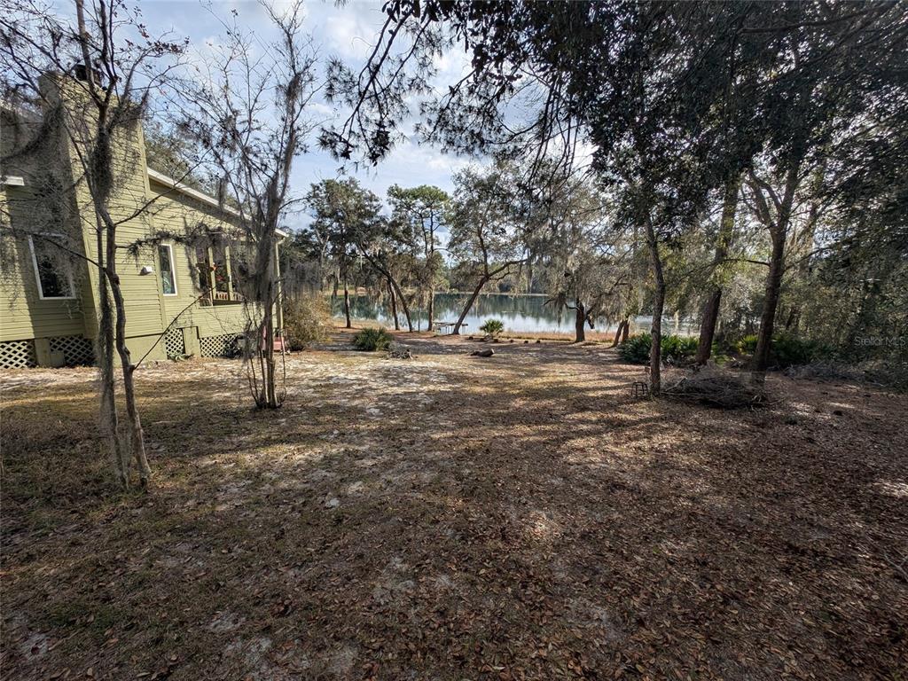 14730 Southeast 61st Street Road Ocklawaha, FL 32179 - Photo 55 of 88 a view of a yard with a tree