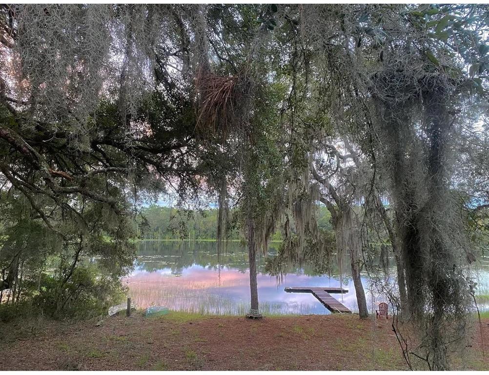 14730 Southeast 61st Street Road Ocklawaha, FL 32179 - Photo 63 of 88