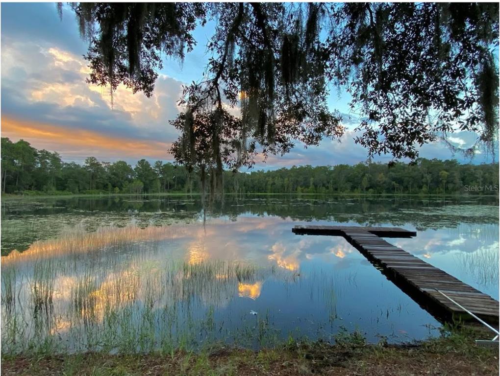 14730 Southeast 61st Street Road Ocklawaha, FL 32179 - Photo 64 of 88 a view of a lake view