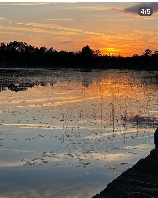 14730 Southeast 61st Street Road Ocklawaha, FL 32179 - Photo 66 of 88 a view of an ocean and beach
