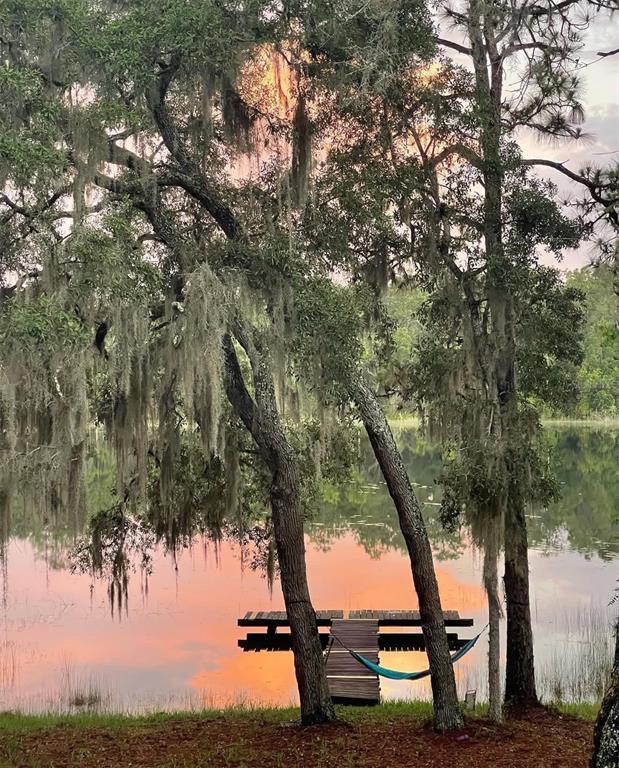 14730 Southeast 61st Street Road Ocklawaha, FL 32179 - Photo 67 of 88