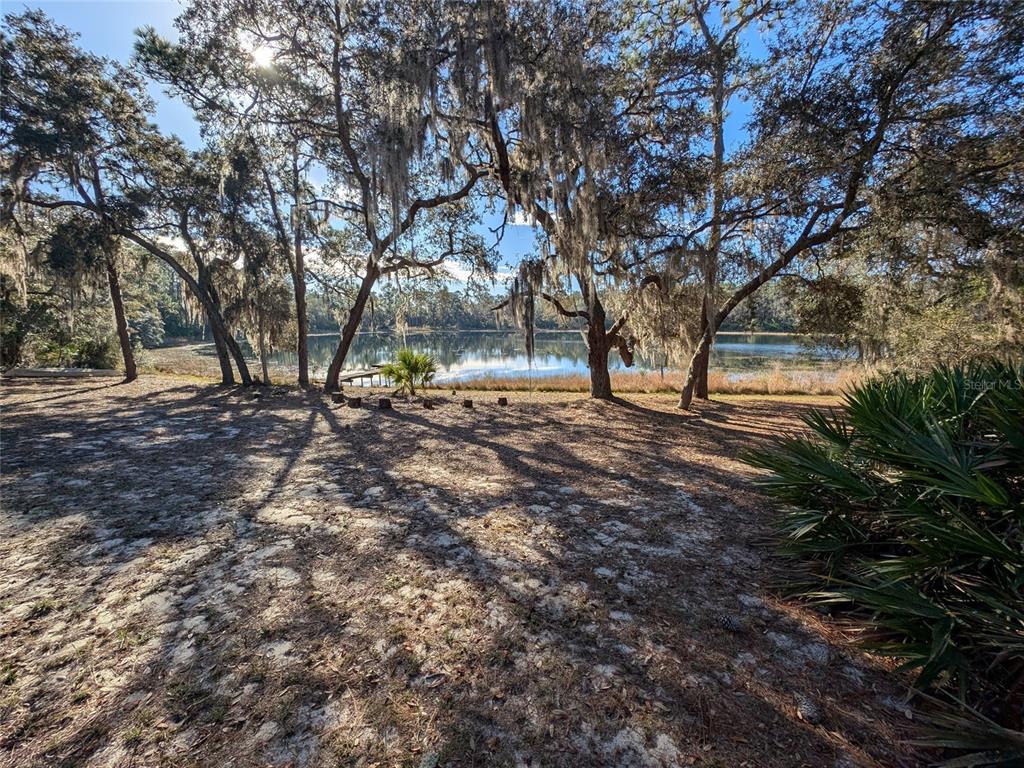 14730 Southeast 61st Street Road Ocklawaha, FL 32179 - Photo 68 of 88 a view of backyard with green space
