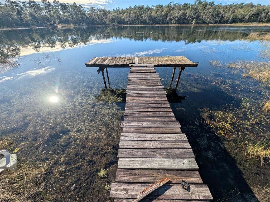 14730 Southeast 61st Street Road Ocklawaha, FL 32179 - Photo 70 of 88