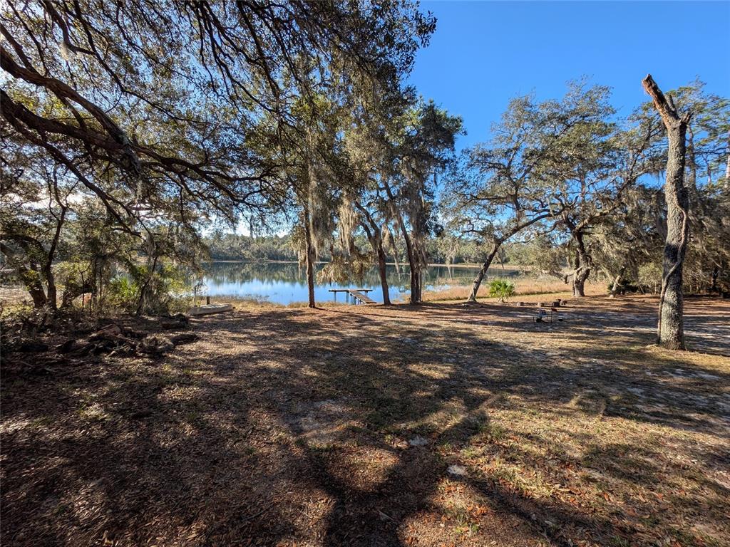 14730 Southeast 61st Street Road Ocklawaha, FL 32179 - Photo 71 of 88 a view of road and trees