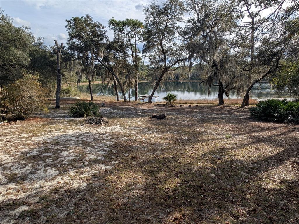 14730 Southeast 61st Street Road Ocklawaha, FL 32179 - Photo 74 of 88 a view of a yard with a tree