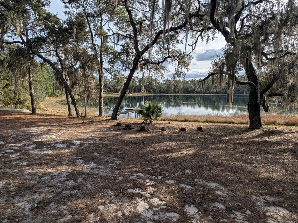 14730 Southeast 61st Street Road Ocklawaha, FL 32179 - Photo 75 of 88