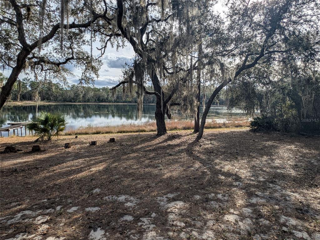 14730 Southeast 61st Street Road Ocklawaha, FL 32179 - Photo 76 of 88