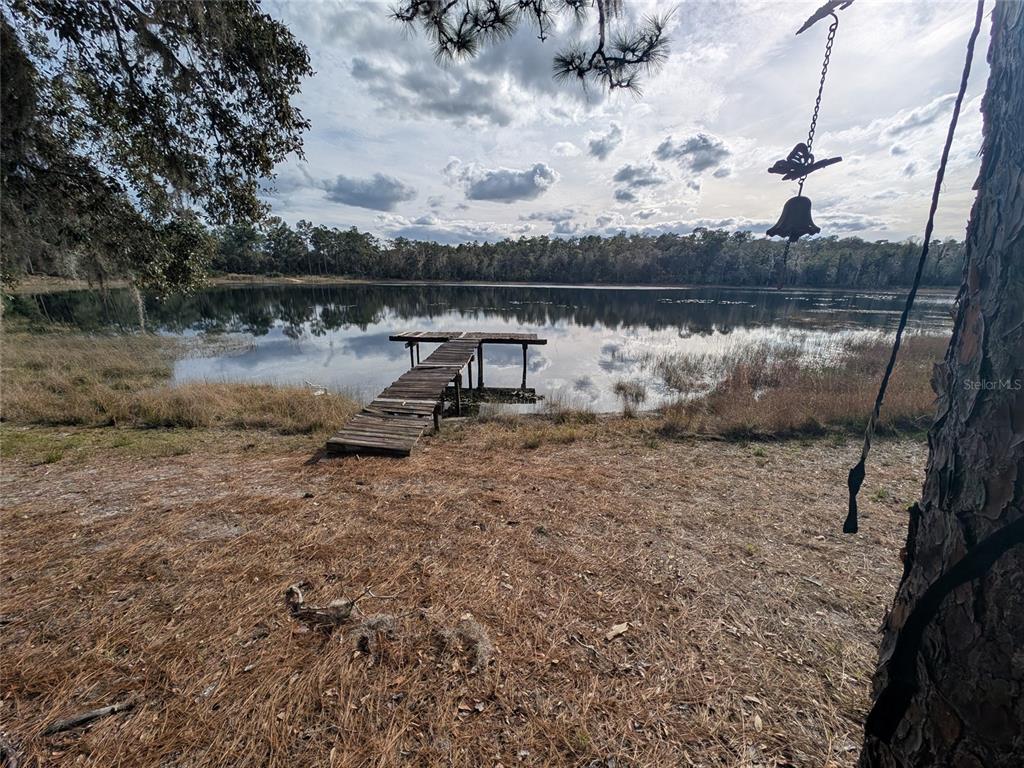 14730 Southeast 61st Street Road Ocklawaha, FL 32179 - Photo 77 of 88 a view of a lake with a mountain