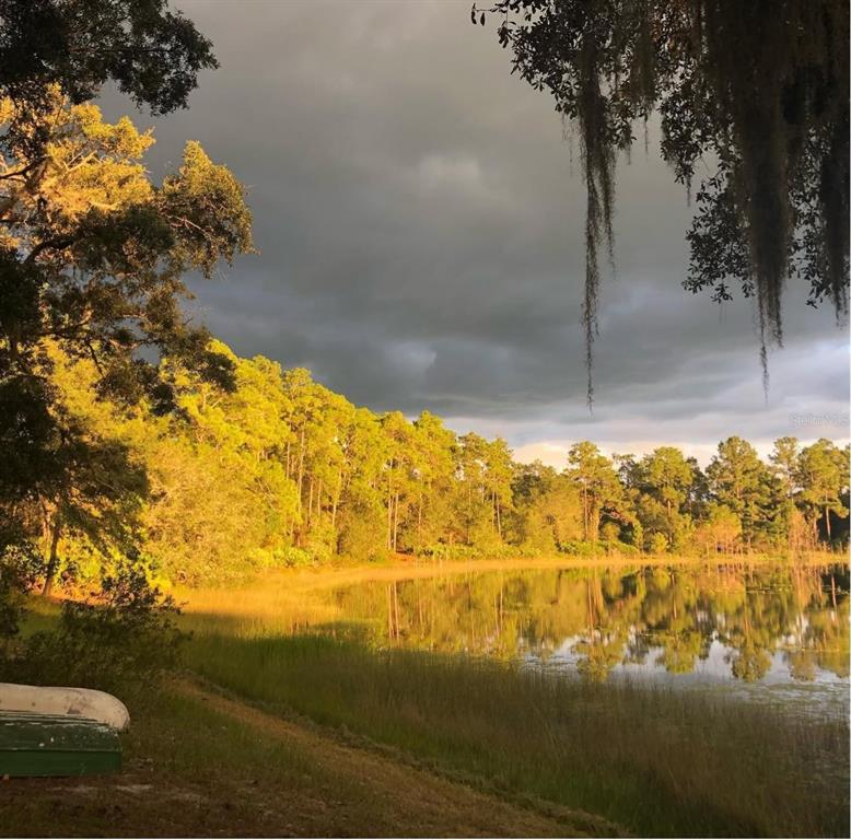 14730 Southeast 61st Street Road Ocklawaha, FL 32179 - Photo 81 of 88