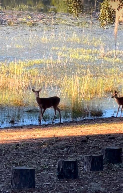 14730 Southeast 61st Street Road Ocklawaha, FL 32179 - Photo 83 of 88 a view of a swimming pool with an outdoor space and seating area