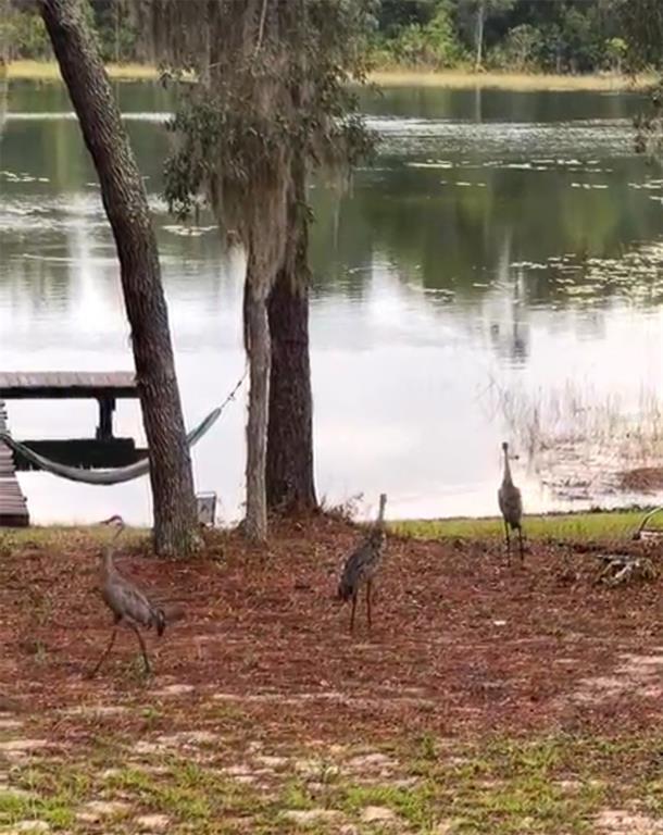 14730 Southeast 61st Street Road Ocklawaha, FL 32179 - Photo 85 of 88