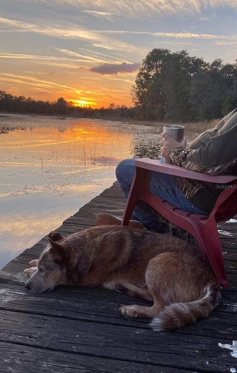 14730 Southeast 61st Street Road Ocklawaha, FL 32179 - Photo 86 of 88 a view of a lake with mountain